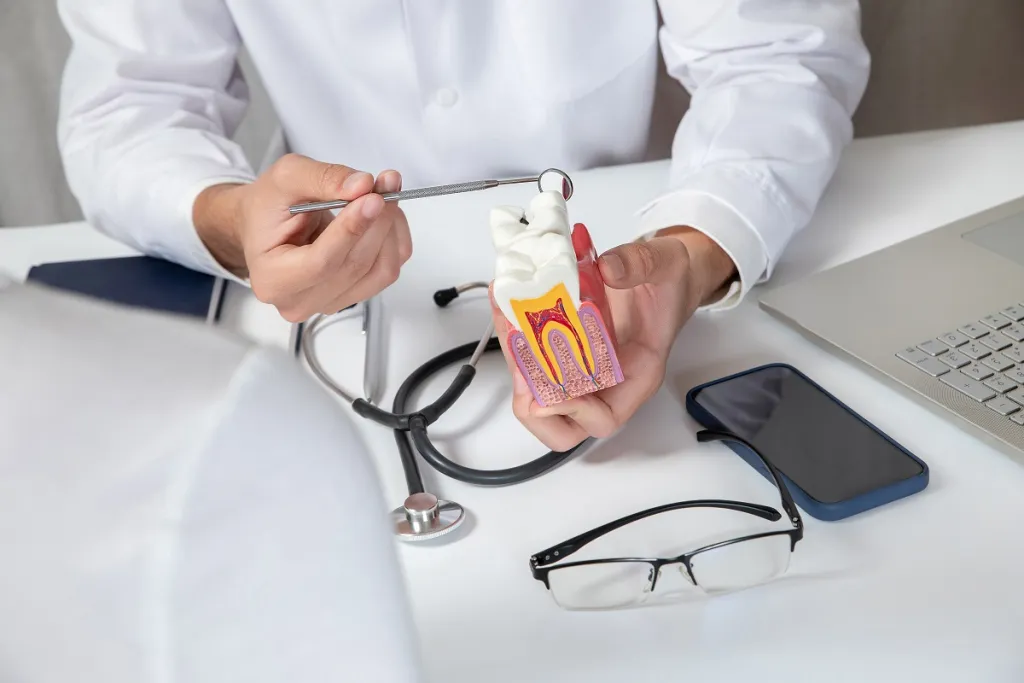 Featured image for “Frequently Asked Questions About Root Canal Therapy”